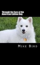 Through the Eyes of the American Eskimo Dog