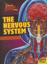 How the Human Body Works- Nervous System