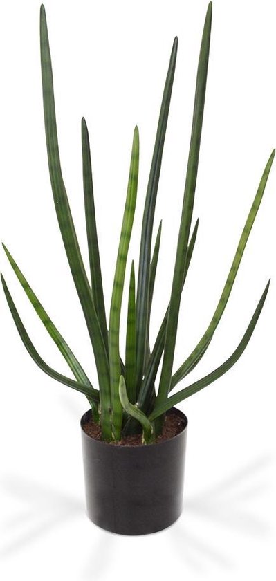 Sanseveria Cylindrica kunstplant 75cm - groen