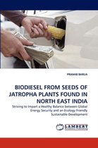 Biodiesel from Seeds of Jatropha Plants Found in North East India