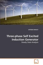 Three-phase Self Excited Induction Generator