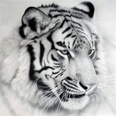 Diamond Painting zwart/wit tijger