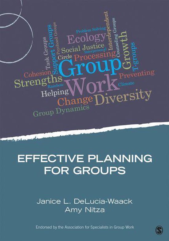 Group Work Practice Kit Effective Planning for Groups (ebook), Janice