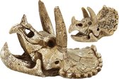 SF skull triceratops S