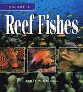 Reef Fishes