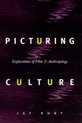 Picturing Culture - Explorations in Film & Anthropology