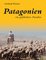 Patagonien, Ein gefährdetes Paradies - Gerhard Rötzer