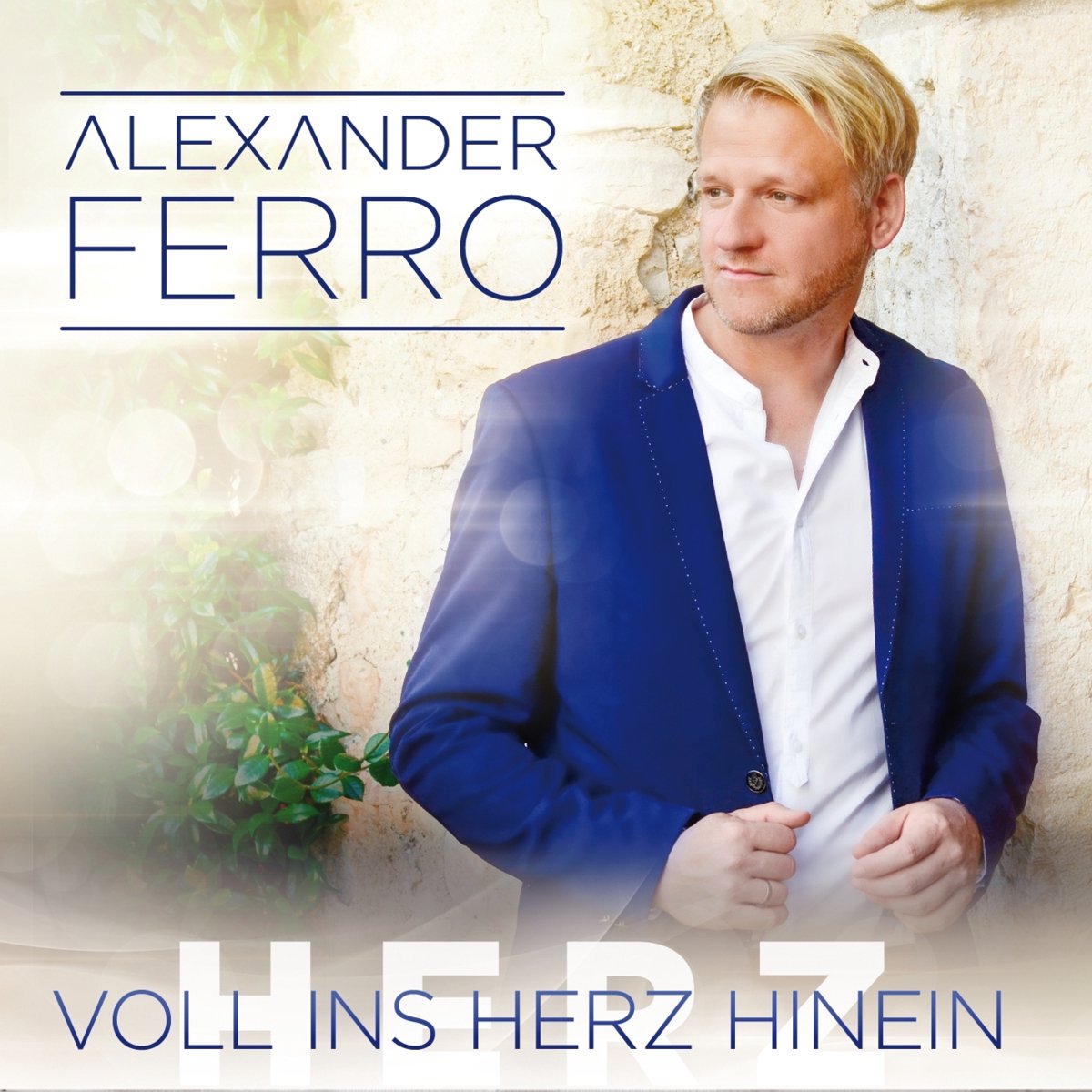 Voll Ins Herz Hinein