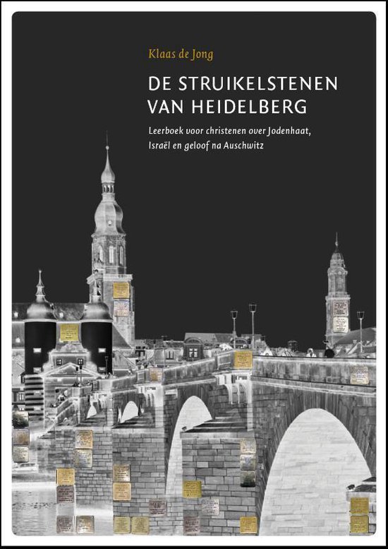 De struikelstenen van Heidelberg - Klaas de Jong | Do-index.org