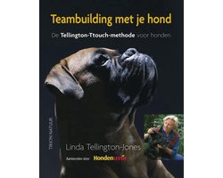Teambuilding met je hond