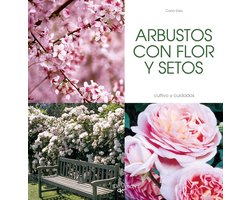 Arbustos con flor y setos