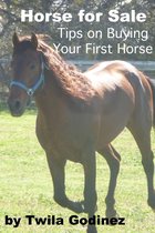 Horse for Sale: Tips for Buying Your First Horse