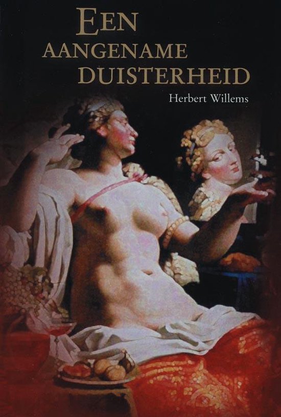 Cover van het boek 'Een aangename duisterheid' van H. Willems