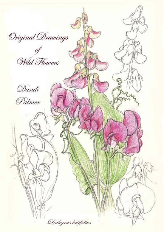 Sketchbook Drawings 12 - Original Drawings of Wild Flowers - cover