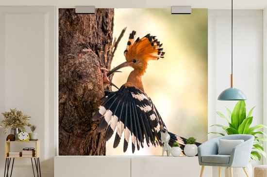 Papier Peint - Papier peint photo Vogel - Arbre - Forêt - Largeur 300 cm x Hauteur 300 cm