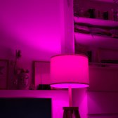 2x WiFi LED Lamp E27 - RGB+CCT Gekleurd en Witlicht - App en Stembediening - 7W Energiezuinig en Duurzaam