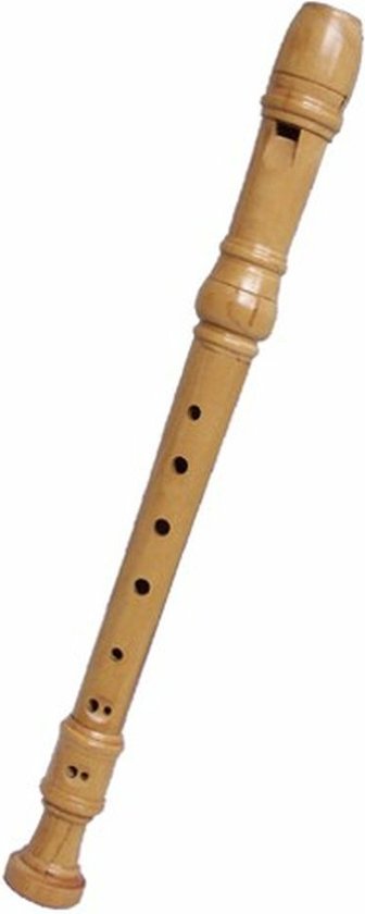 Flûte à bec en bois | bol.com
