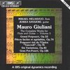 Giuliani - Flute/ Gt. Iii