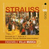 Ensemble Villa Musica - Music For Wind Instruments Vol.2 (CD)
