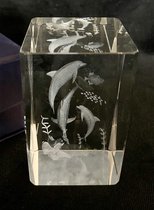 kristal glas laserblok met 3D afbeelding van 3 Dolfijnen  5x8cm
