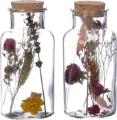 Glazen medicijnfles met 2 diverse droogbloemen Ø8cm (12 st.)