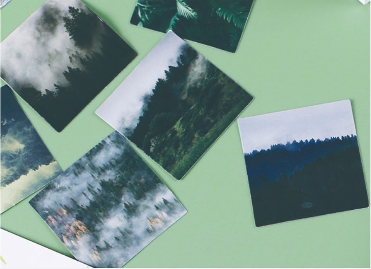 46 Stickers Natuur - EN24 - Bomen, Natuur, Vallei, Bergen, In Groentinten, Vierkante Stickers - Stickerdoosje - Voor Scrapbook Of Bullet Journal - Agenda Stickers - Decoratie Stickers — afbeelding 6