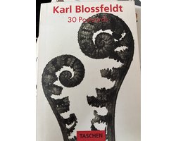 Blossfeldt Postcard Book