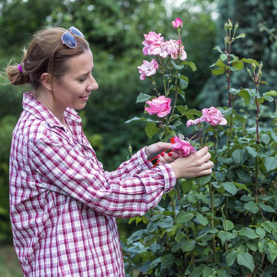 Relaxdays snoeischaar - bypass - tuinschaar - tweezijdig - bloemenschaar - zwart/rood van Merkloos	 — afbeelding 5