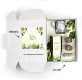 THNX 3-in-1 combinatie cadeau THNX – Lente – Kruiden zaden pakket – Green Spring