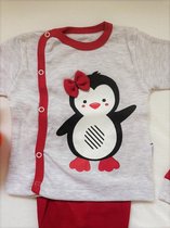 Comfortabele Babyset - 3 Stukken - Penguin Pattern - Natuur Liefhebbers Naturefriendly - Grijs Rood - Pasgeboren Newborn - %100 Katoen Gezond - Lange mouw babyset - babykleding - babycadeau - kerstkadeau