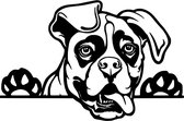 Auto - Raam sticker - Boxer  - Gluur Hond - Peeking Dog - Spreuk - Decoratie Sticker - Aanhanger - Grappig - Funny