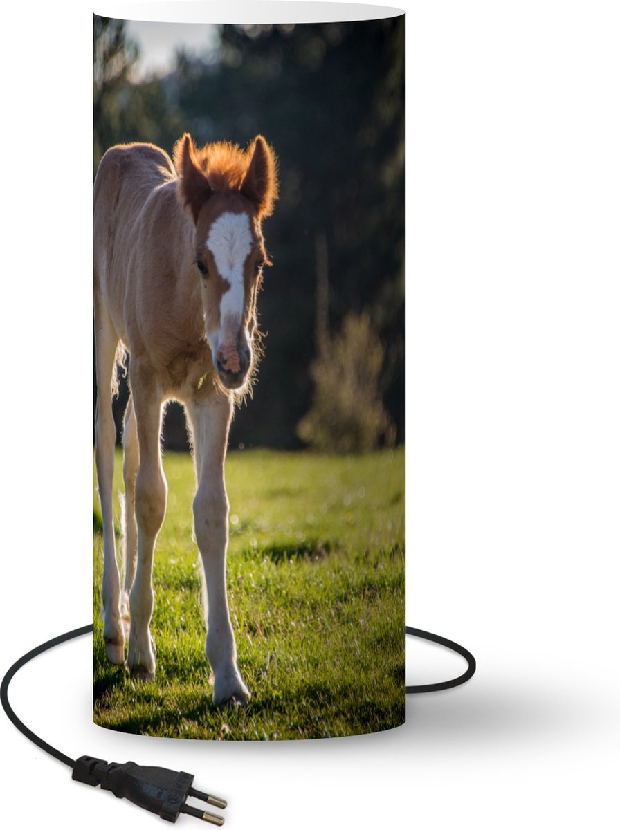 Lamp - Nachtlampje - Tafellamp slaapkamer - Een jong veulen dwaalt op een weiland - 70 cm hoog - Ø29.6 cm - Inclusief LED lamp