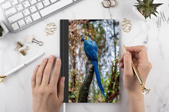 Carnet - Carnet d'écriture - Vogel - Perroquet - Blauw - Carnet - Format A5 - Bloc-notes