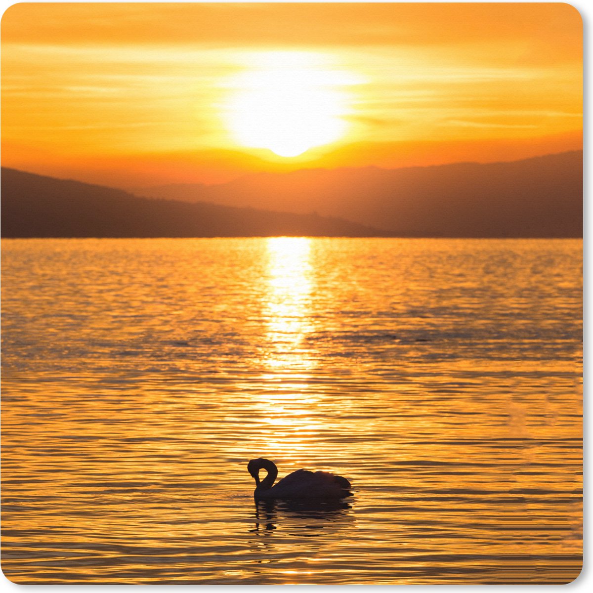 Muismat XXL 60x60 cm - Bureau onderlegger - Bureau mat Zwaan - Zonsondergang - Goud - Bureaumat - Gaming mousepad xl - Bureaulegger groot - Computer deskmat