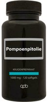 Apb Holland Pompoenpitolie omega 6/9 1000 mg puur 120 softgels