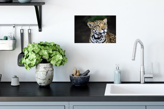 Stickers muraux - Léopard - Tête - Forêt - 30x20 cm - Film Adhésif