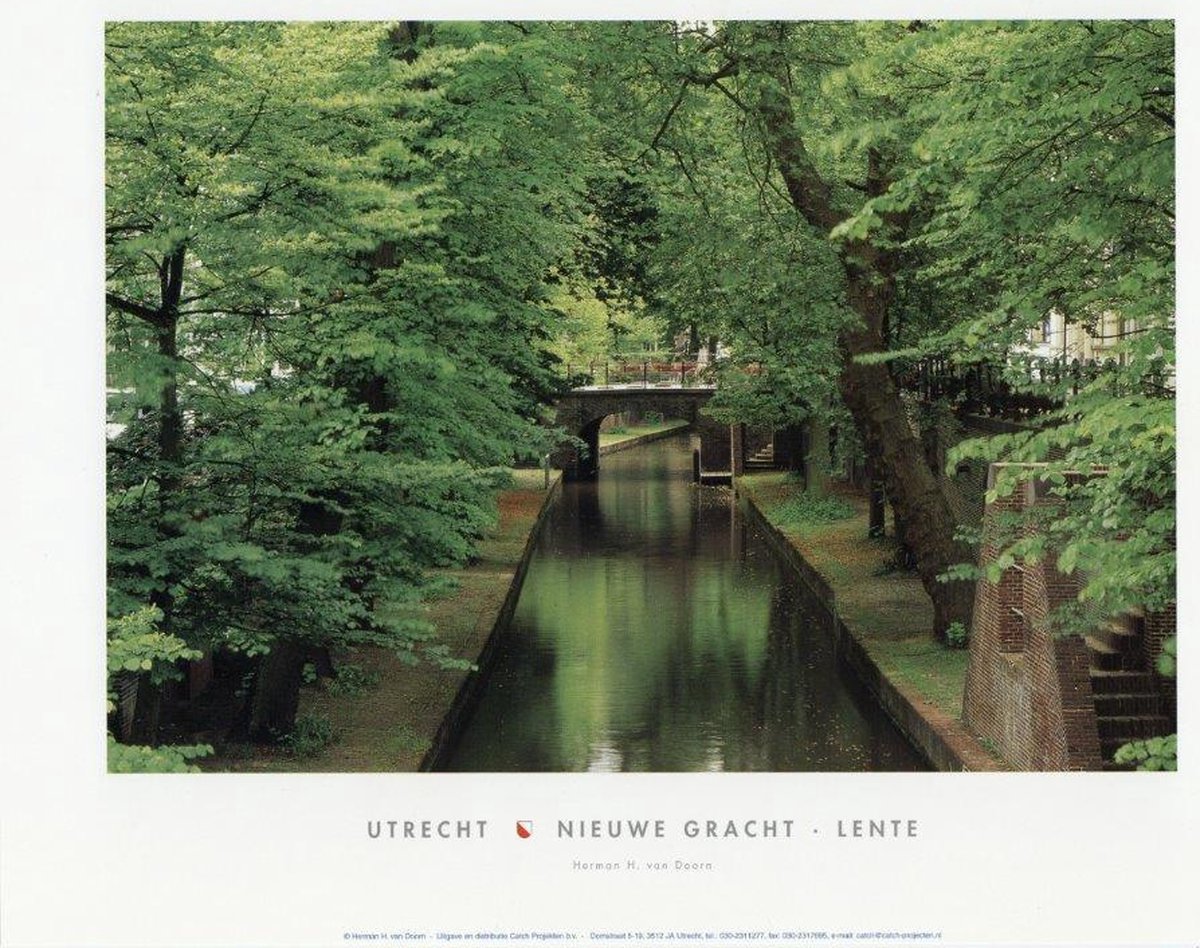Catch Projecten Nieuwegracht (lente) - Herman van Doorn - Utrechtse Poster - 35 x 50 cm Multicolor
