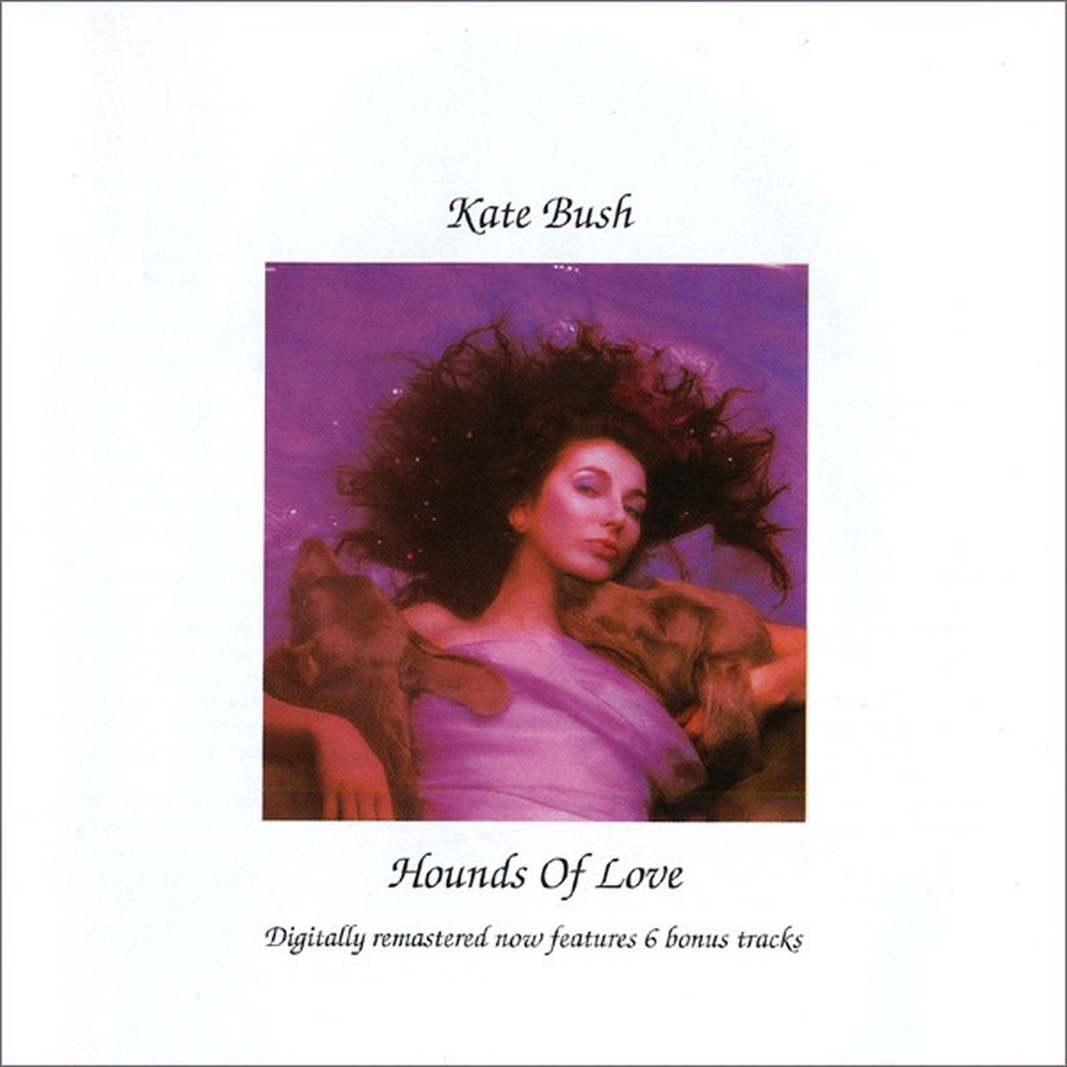 Hounds Of Love
