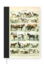 Notitieboek - Schrijfboek - Dieren - Paarden - Illustratie - Vintage - Adolphe Millot - Notitieboekje klein - A5 formaat - Schrijfblok