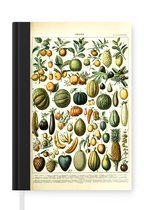 Notitieboek - Schrijfboek - Fruit - Eten - Design - Vintage - Adolphe Millot - Notitieboekje klein - A5 formaat - Schrijfblok