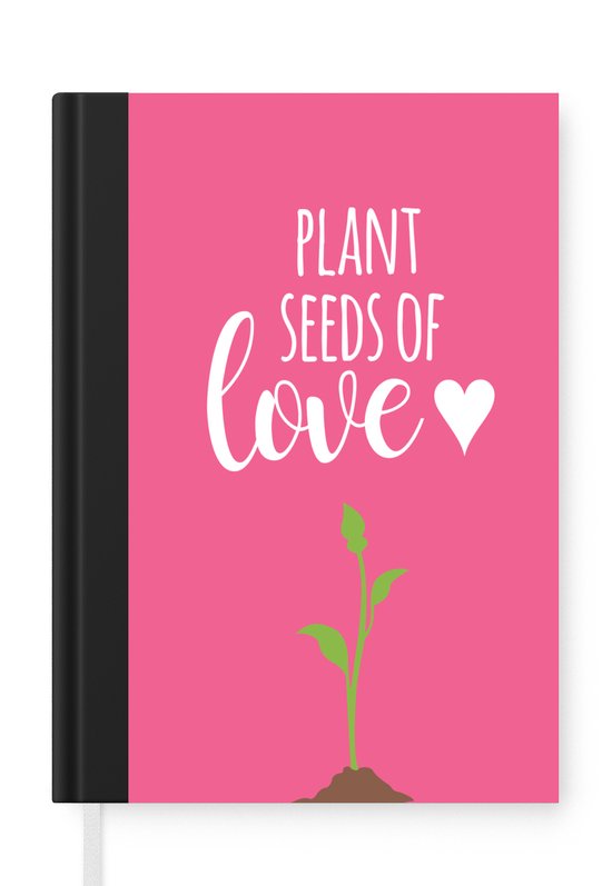 Comment Planter Des Carottes à Partir De Graines