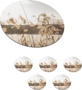 Onderzetters voor glazen - Rond - Water - Pampasgras - Planten - 10x10 cm - Glasonderzetters - 6 stuks