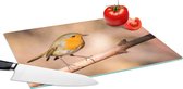 Planche à découper en Verres - 39x28 - Vogel - Branche - Rouge-gorge - Planches à découper en Glas