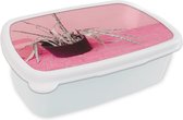 Broodtrommel Wit - Lunchbox - Brooddoos - Zomer - Roze - Planten - 18x12x6 cm - Volwassenen