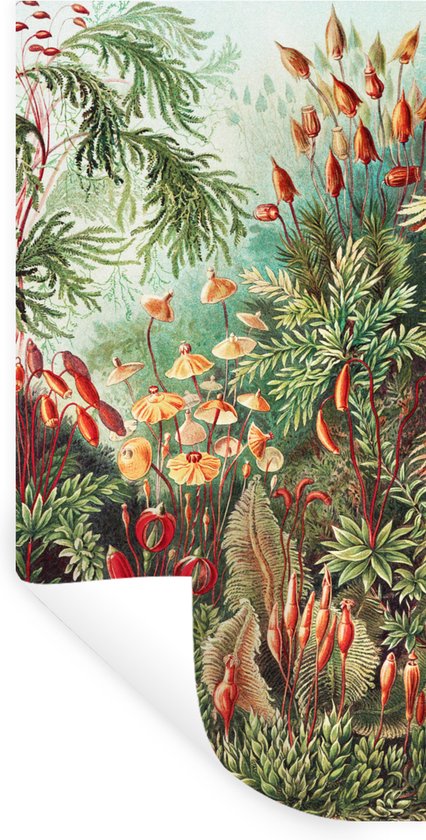 Stickers muraux - Fleurs - Art - Vintage - Muscinae - 40x80 cm - Film Adhésif