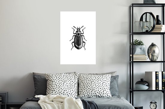 Stickers muraux - Scarabée - Animaux - Vintage - 40x60 cm - Film adhésif