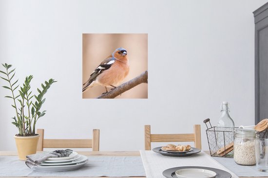 Stickers muraux - Film autocollant - Vogel - Animaux - Pinson - 50x50 cm - Film adhésif - Stickers muraux Chambre d'enfant - Papier peint autocollant - Papier peint autocollant - Film autocollant