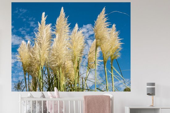 Stickers muraux - Herbe de la pampa - Plante - Nature - 160x120 cm - Feuille adhésive XXL