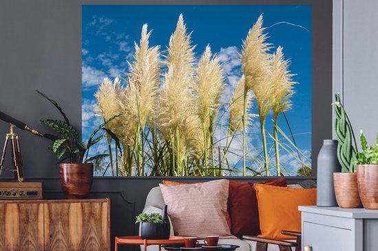 Stickers muraux - Herbe de la pampa - Plante - Nature - 160x120 cm - Feuille adhésive XXL