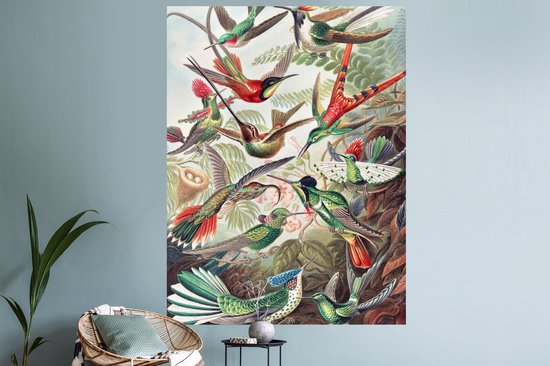 Stickers muraux - Feuille Autocollant - Colibri - Vintage - Ernst Haeckel - Vogel - Art - Nature - 120x160 cm - Feuille Adhésive - Stickers muraux Chambre Enfant - Papier Peint Auto Adhésif XXL